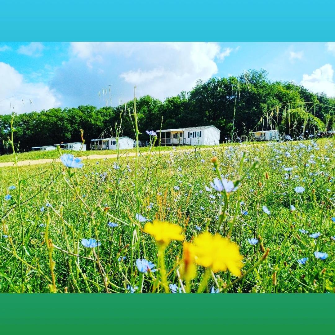 Camping Nature Le Valenty Mobil-Home-Dordogne Panoramique Clim Piscine Soturac Экстерьер фото