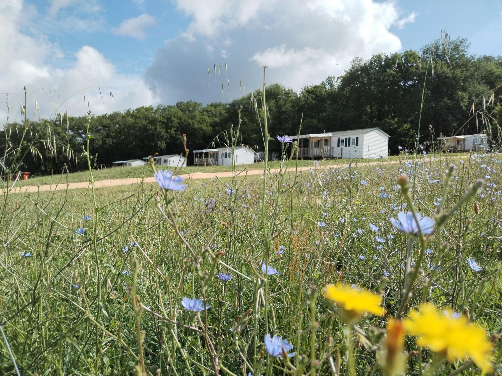 Camping Nature Le Valenty Mobil-Home-Dordogne Panoramique Clim Piscine Soturac Экстерьер фото