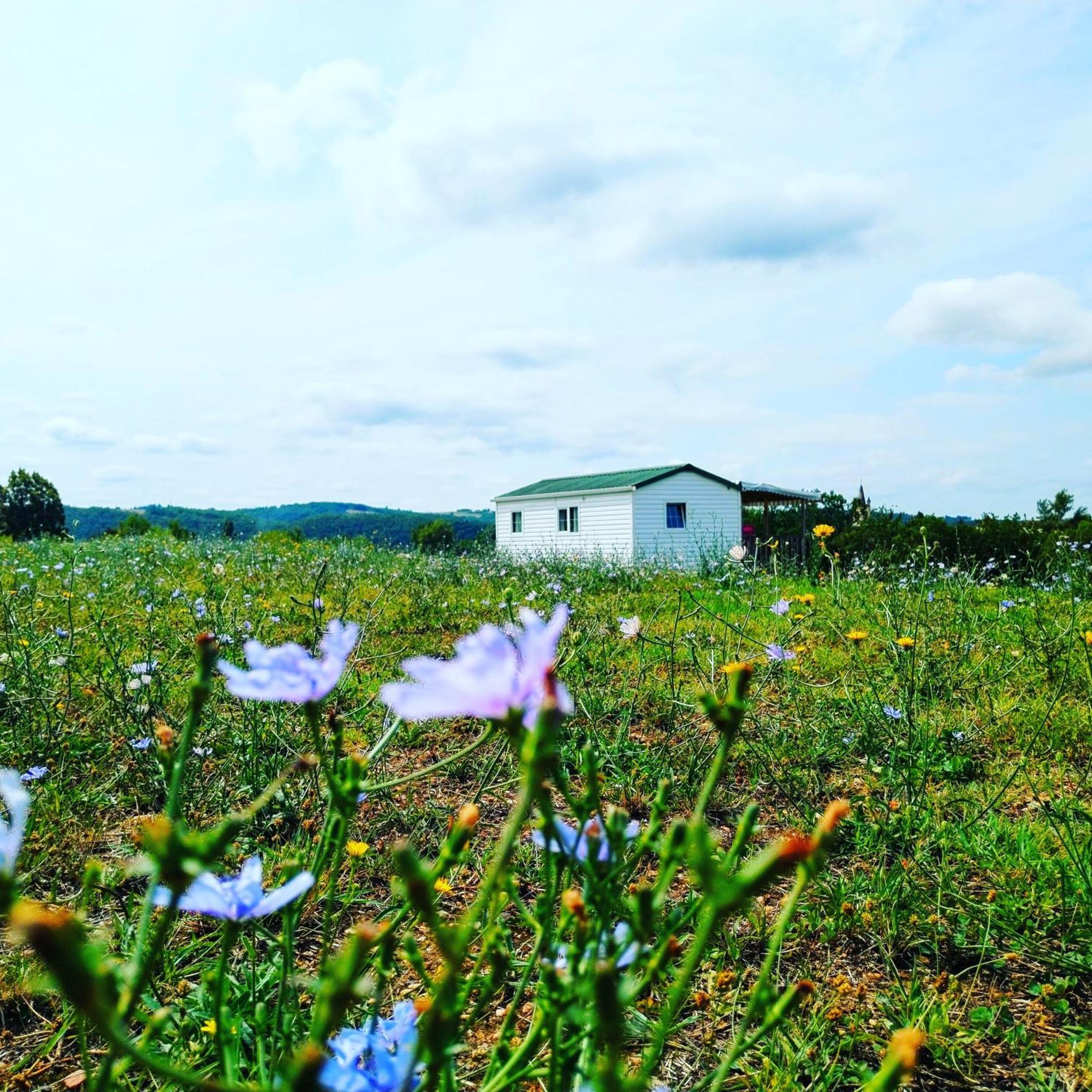 Camping Nature Le Valenty Mobil-Home-Dordogne Panoramique Clim Piscine Soturac Экстерьер фото