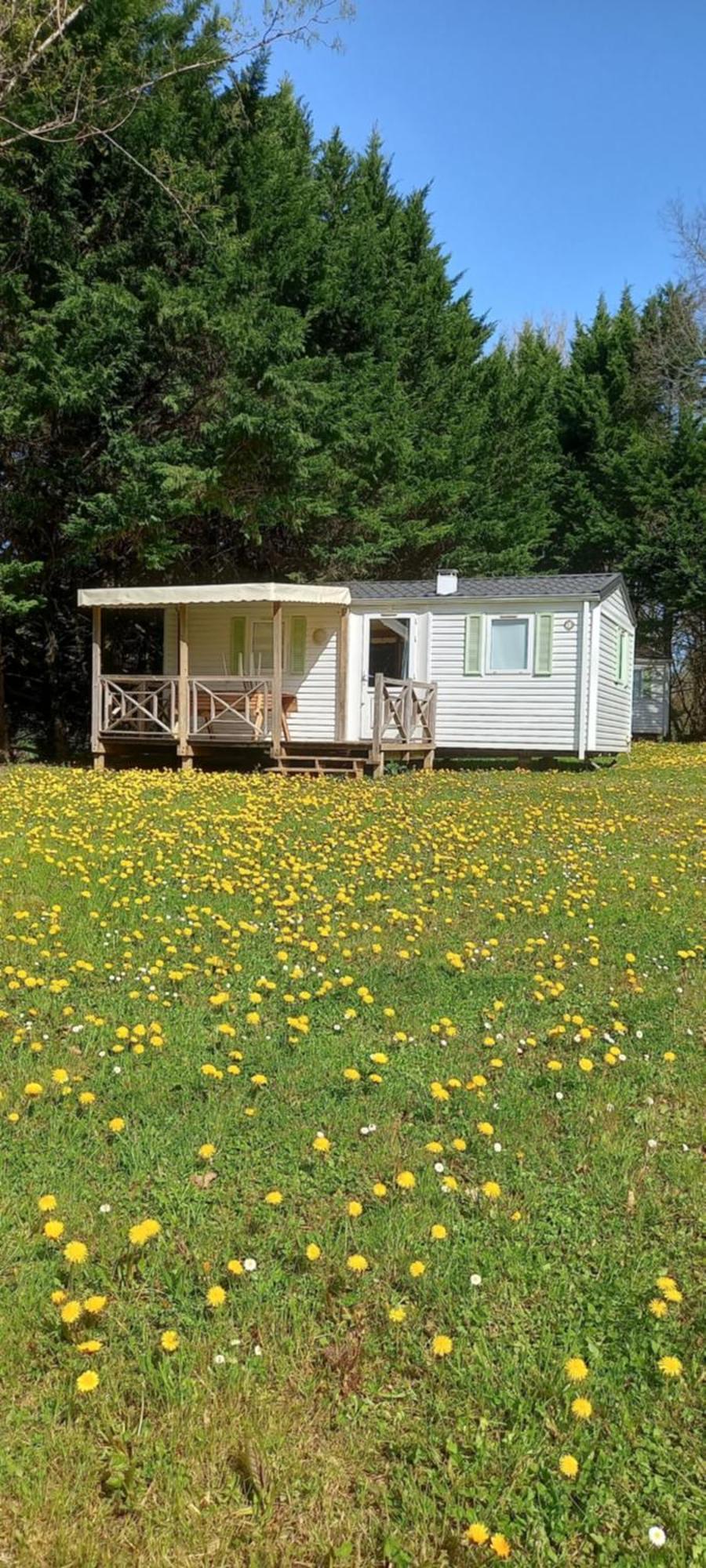 Camping Nature Le Valenty Mobil-Home-Dordogne Panoramique Clim Piscine Soturac Экстерьер фото